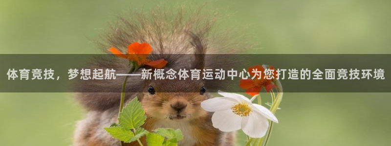 沐鸣22官网