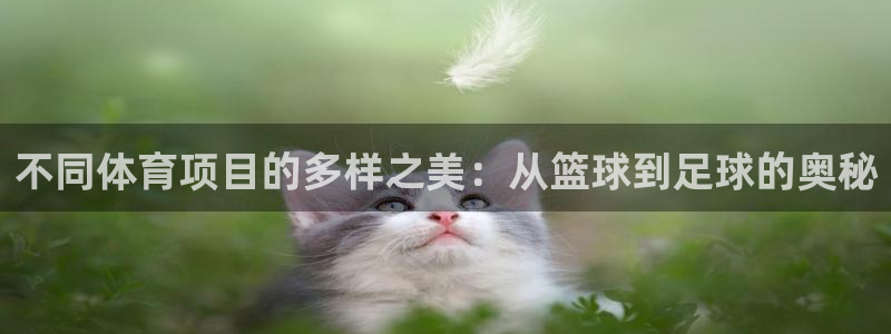 沐鸣2体育