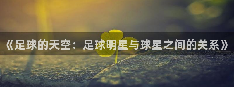 沐鸣25