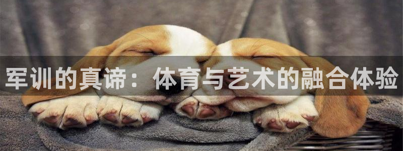 首页沐鸣2注册官网