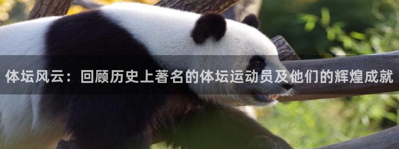 沐鸣2娱乐