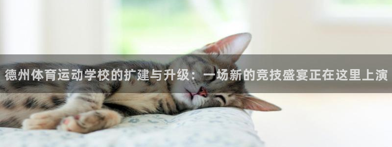沐鸣注册官网入口