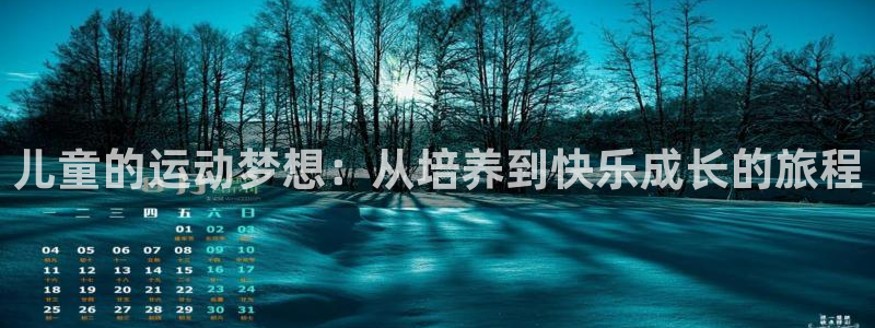 上海沐鸣2汽车电子有限公司
