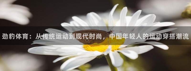 沐鸣2零能源集团