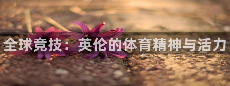 对峙2下载免登录