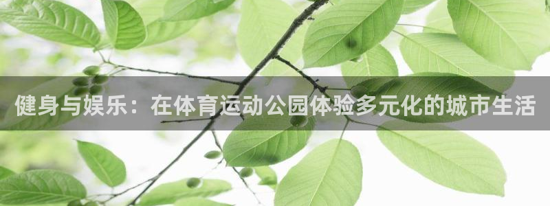 沐鸣注册官网入口
