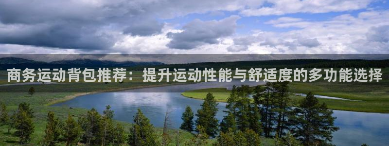 ii博导登录入口