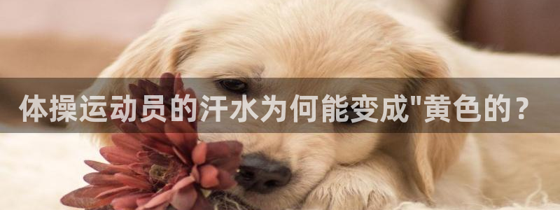 沐鸣2娱乐