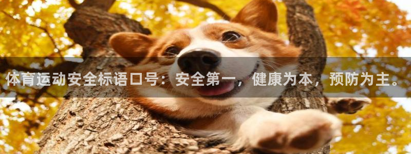 首页沐鸣2注册官网
