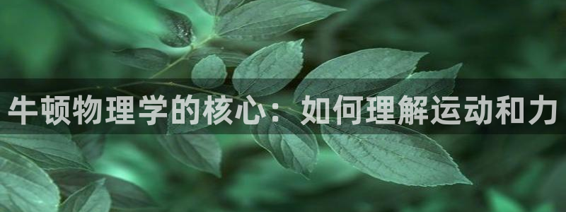 沐鸣2代理注册官网入口