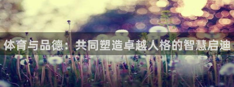 ii博导登录入口