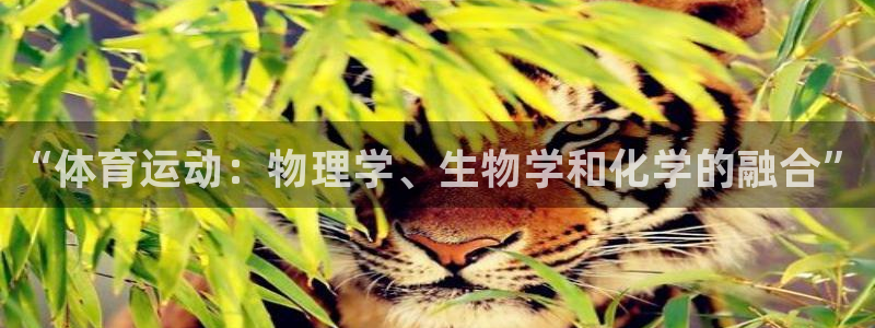 沐鸣22体育登录入口