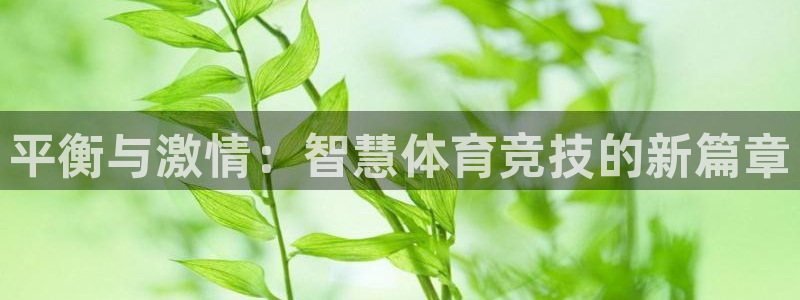 沐鸣24平台注册