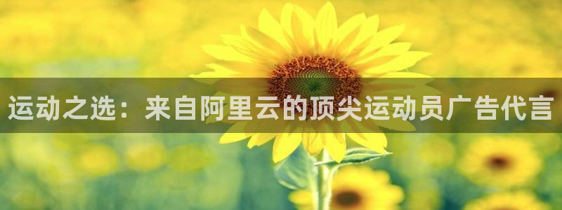 沐鸣2平台招商
